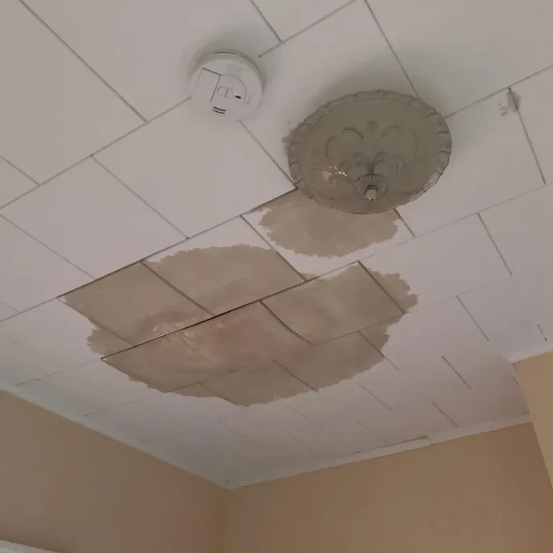 Ceiling Water Damage Repair in McCrory, AR